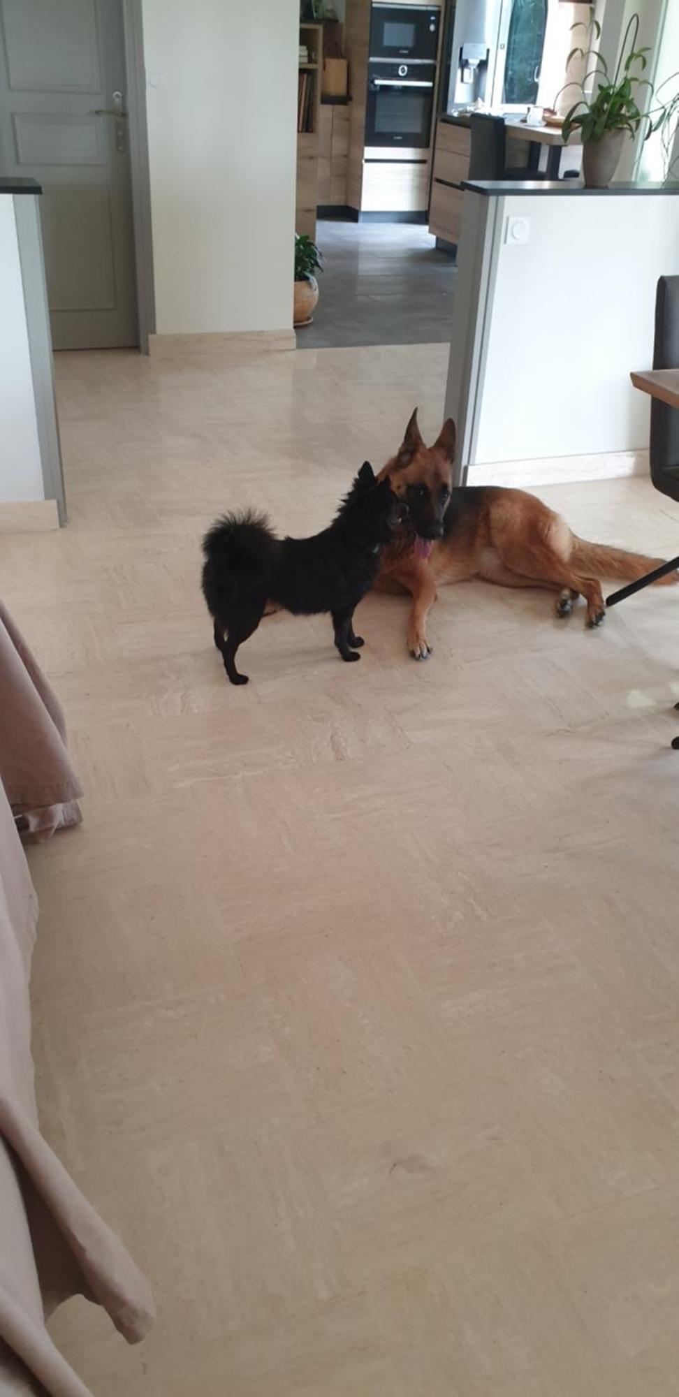 Appartement 50 M2, Calme, Marche A Pied, Proche Mer Guidel Eksteriør bilde